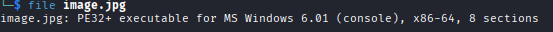 File type analysis